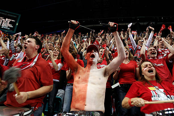 它更是向成 它更是向成